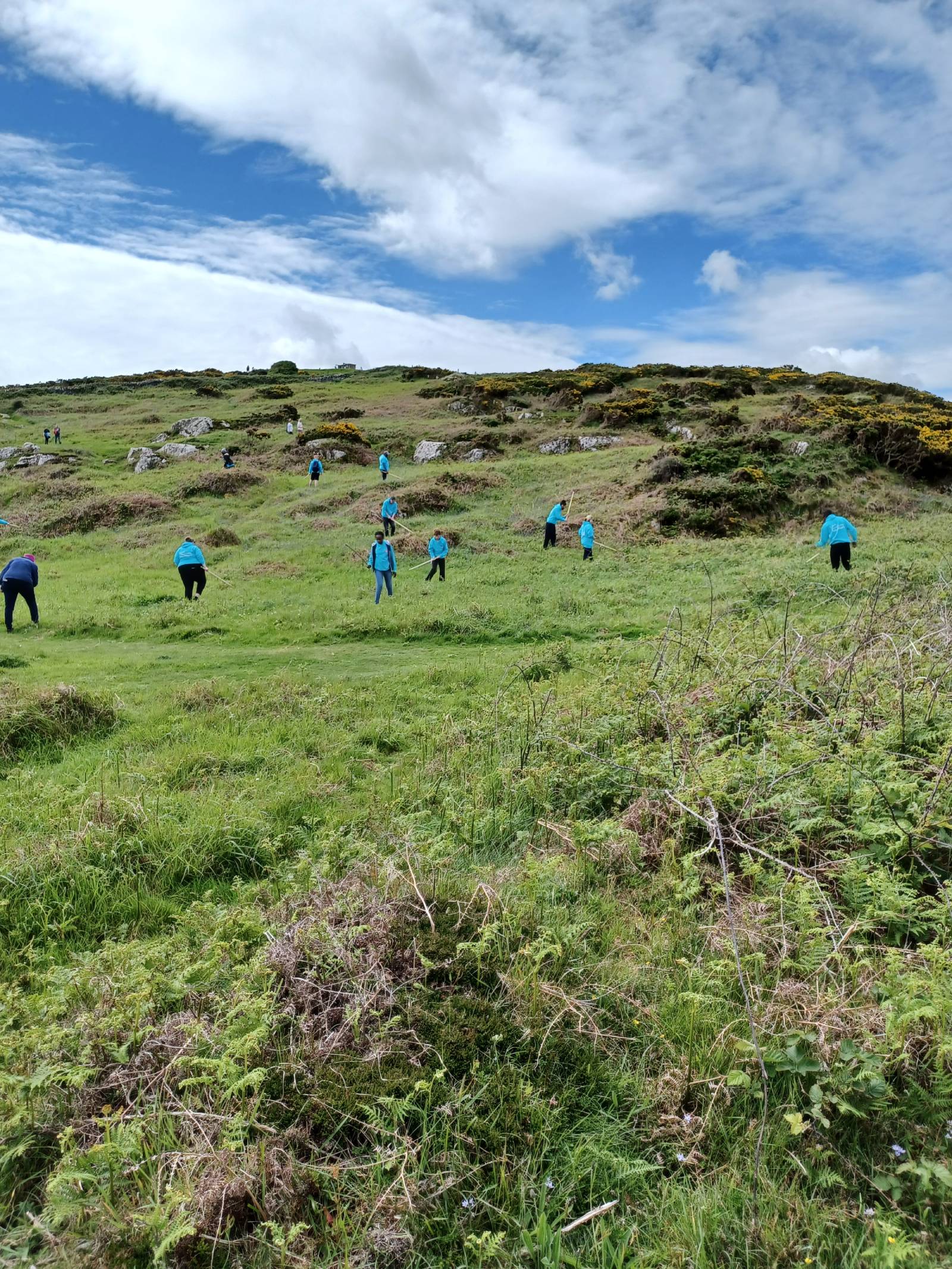 CV bracken bashing small 2